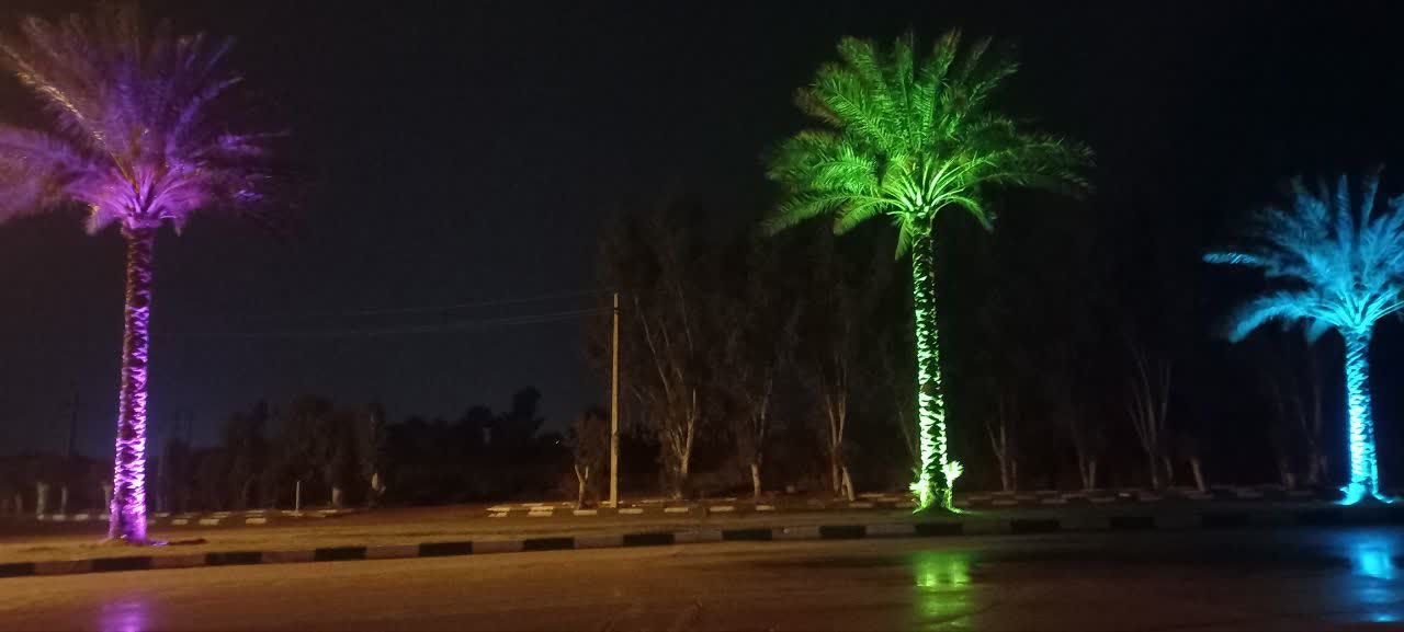 انجام نورپردازی درختان نخل ورودی شهر قصرشیرین